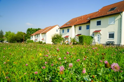 Reihenhaus Klettbach Reihenhäuser mit blühender Wiese im Vordergrund